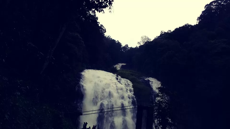 Photo of Abbi Falls, Madikeri, Hebbettageri, Karnataka 571201, India by Renuka Rana