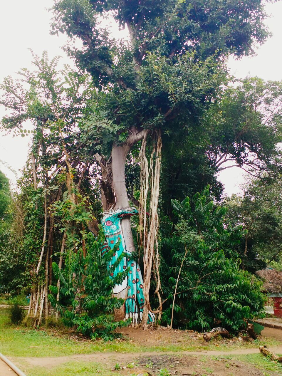 Photo of When Scotland of India rings your bell and you say Hello! 11/47 by Renuka Rana