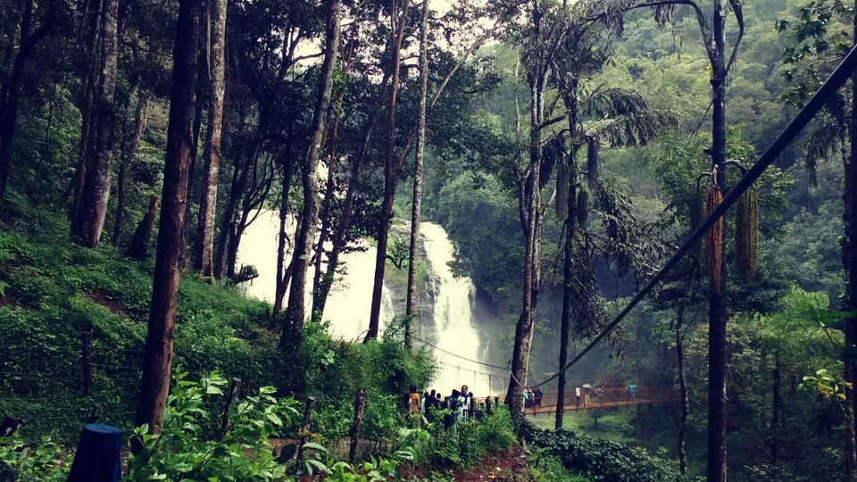 Photo of Abbi Falls, Madikeri, Hebbettageri, Karnataka 571201, India by Renuka Rana