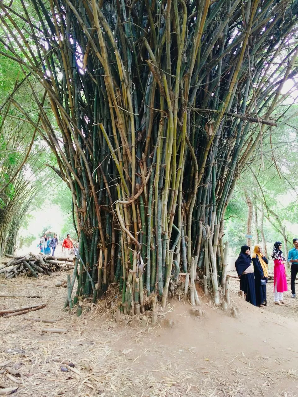 Photo of Nisargadhama, Nisargadhama, Karnataka 571234 by Renuka Rana