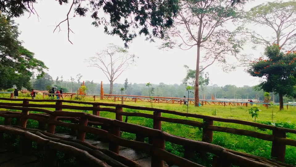 Photo of Dubare Elephant Camp, Nanjarajapatna Post, Kushalanagar, Somwarpet Taluk, Coorg District, Hobli, Karnataka 571234, India by Renuka Rana