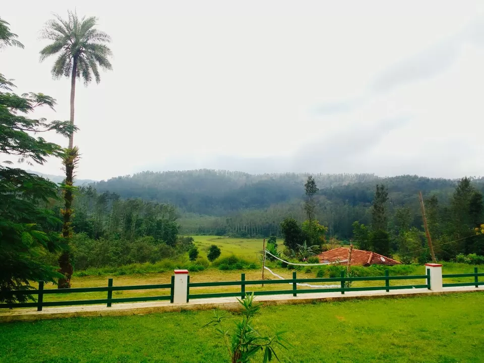 Photo of Coffee Terrain Homestay, Danihalli, Avathi, Chikkamagalure, Karnataka 577111, India by Renuka Rana