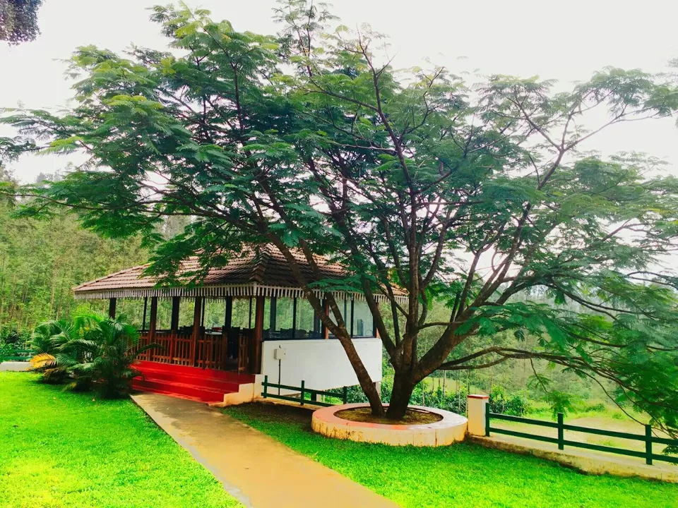 Photo of Coffee Terrain Homestay, Danihalli, Avathi, Chikkamagalure, Karnataka 577111, India by Renuka Rana