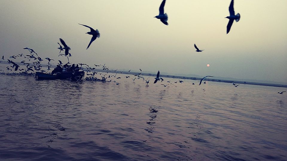 Photo of Ghat, God and Varanasi... 10/14 by Renuka Rana
