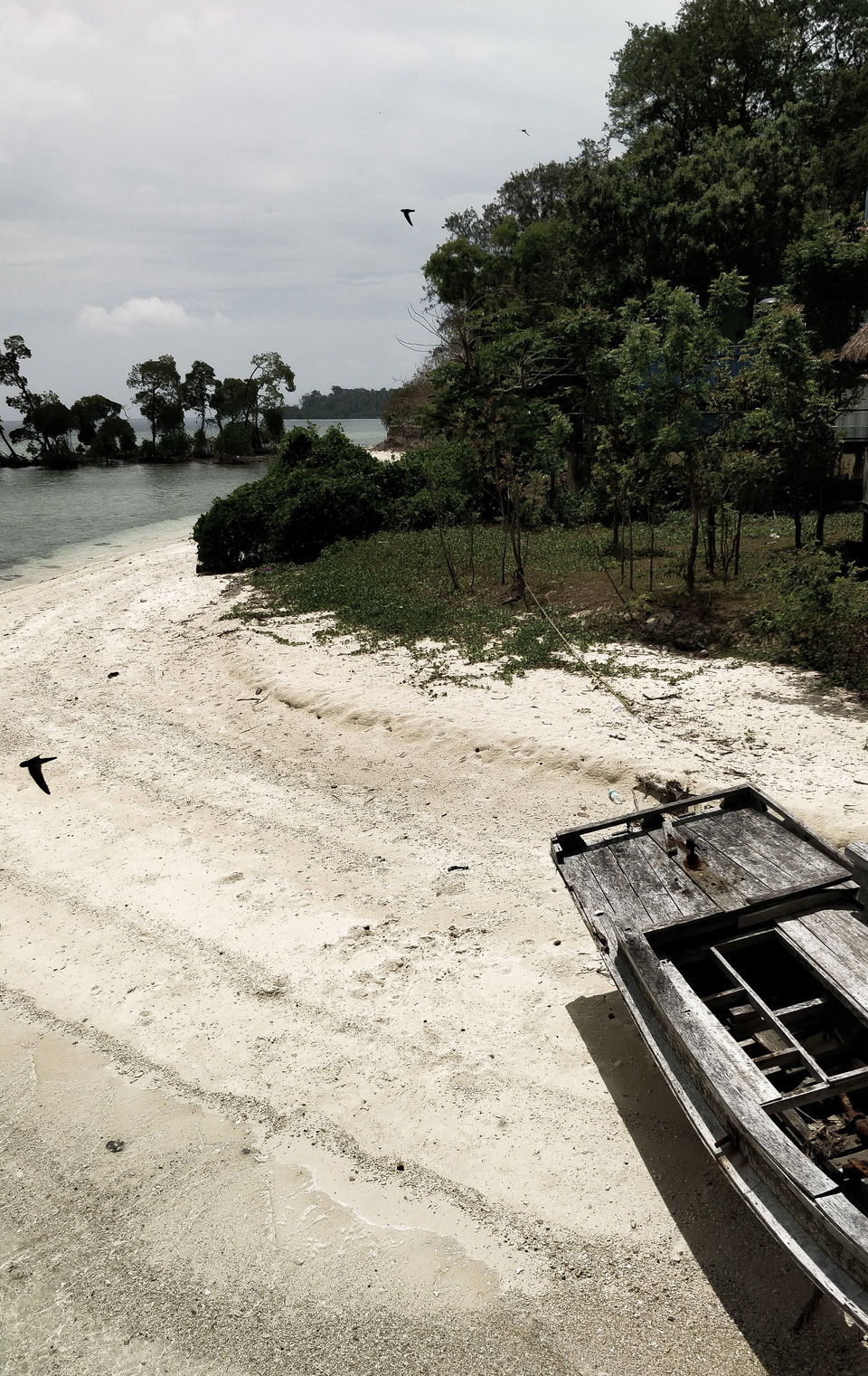 Photo of Havelock Island, Andaman and Nicobar Islands by Aradhana Mathews