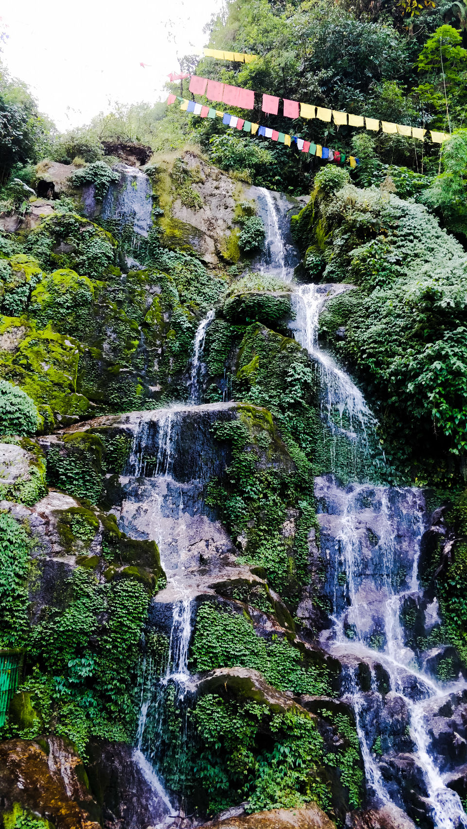 Photo of Exploring India: Sikkim 4/25 by Aradhana Mathews