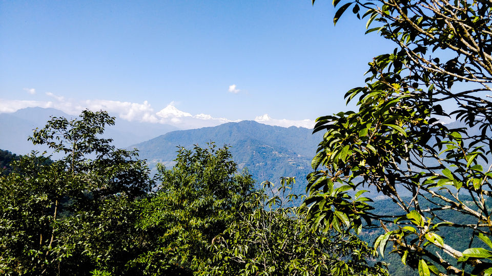 Photo of Exploring India: Sikkim 8/25 by Aradhana Mathews