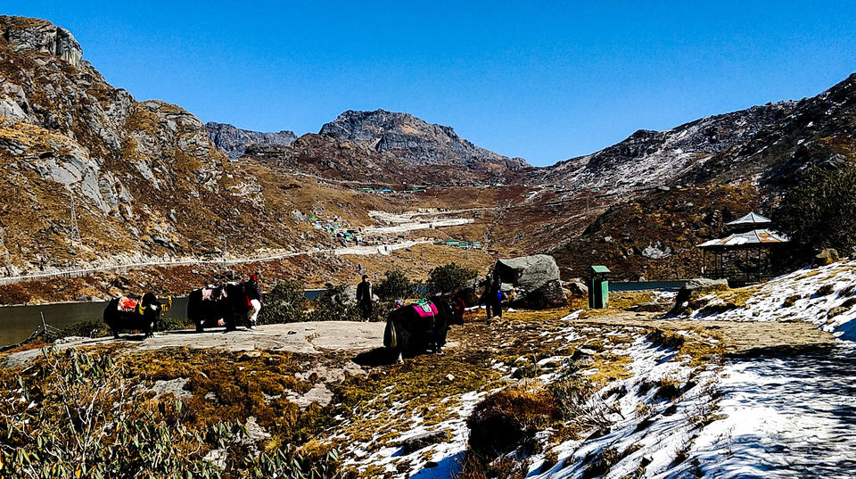 Photo of Exploring India: Sikkim 12/25 by Aradhana Mathews