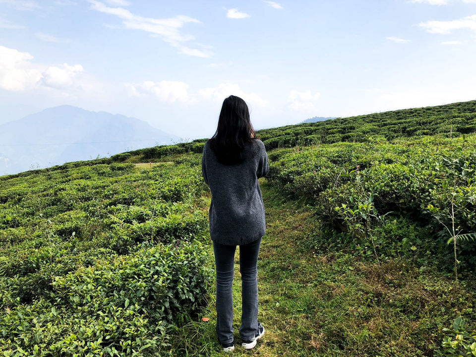 Photo of Exploring India: Sikkim 15/25 by Aradhana Mathews