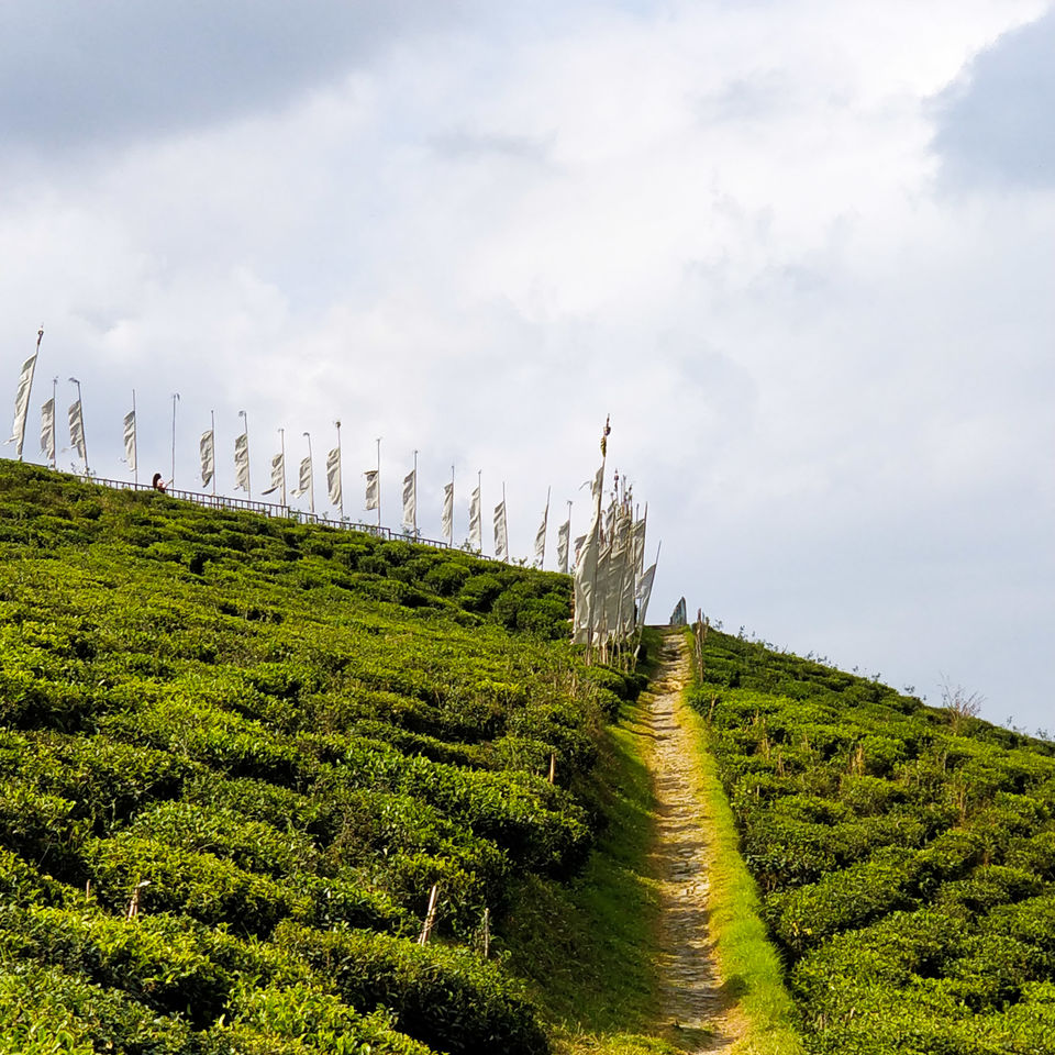 Photo of Exploring India: Sikkim 17/25 by Aradhana Mathews