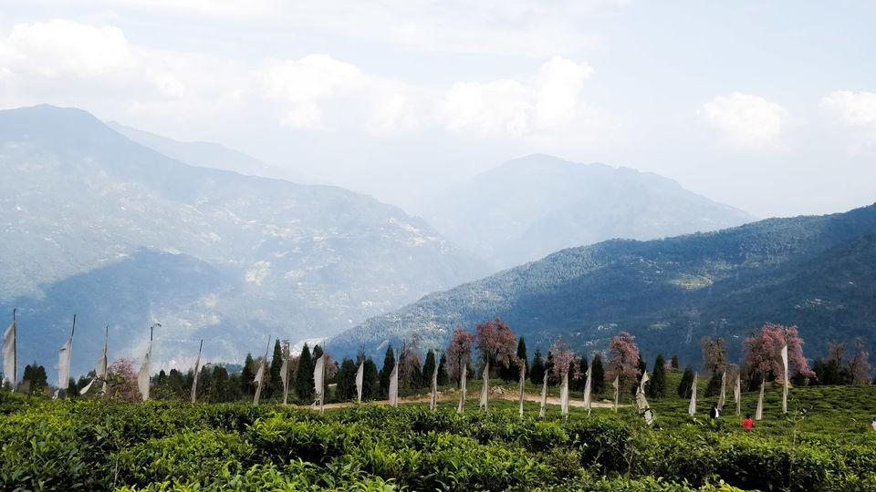 Photo of Exploring India: Sikkim 18/25 by Aradhana Mathews