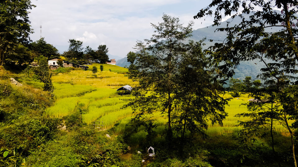Photo of Exploring India: Sikkim 21/25 by Aradhana Mathews