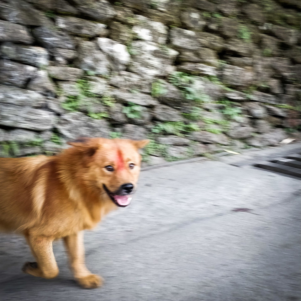 Photo of Exploring India: Sikkim 3/25 by Aradhana Mathews