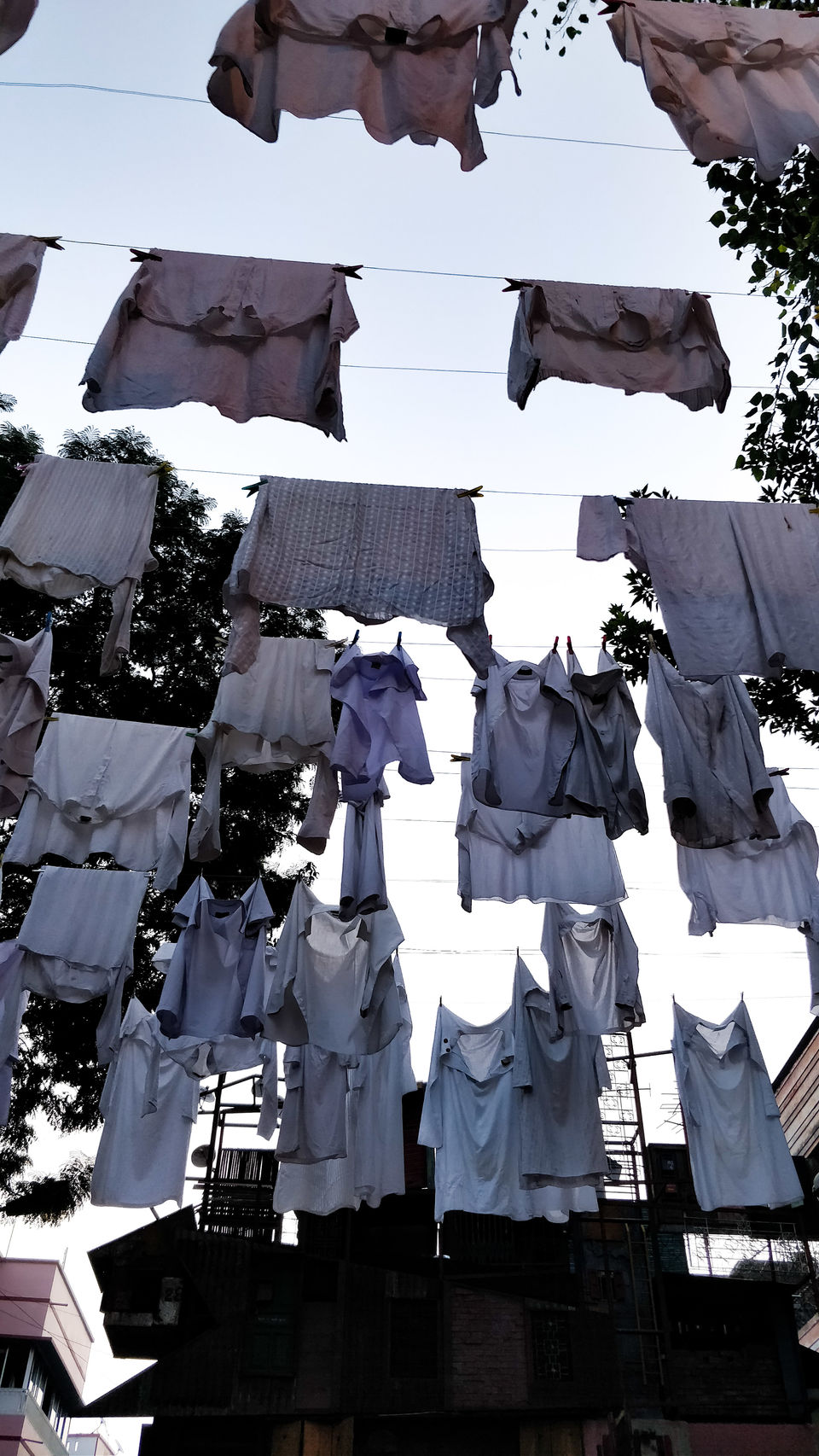 Photo of How to Navigate Durga Pujo 14/29 by Aradhana Mathews