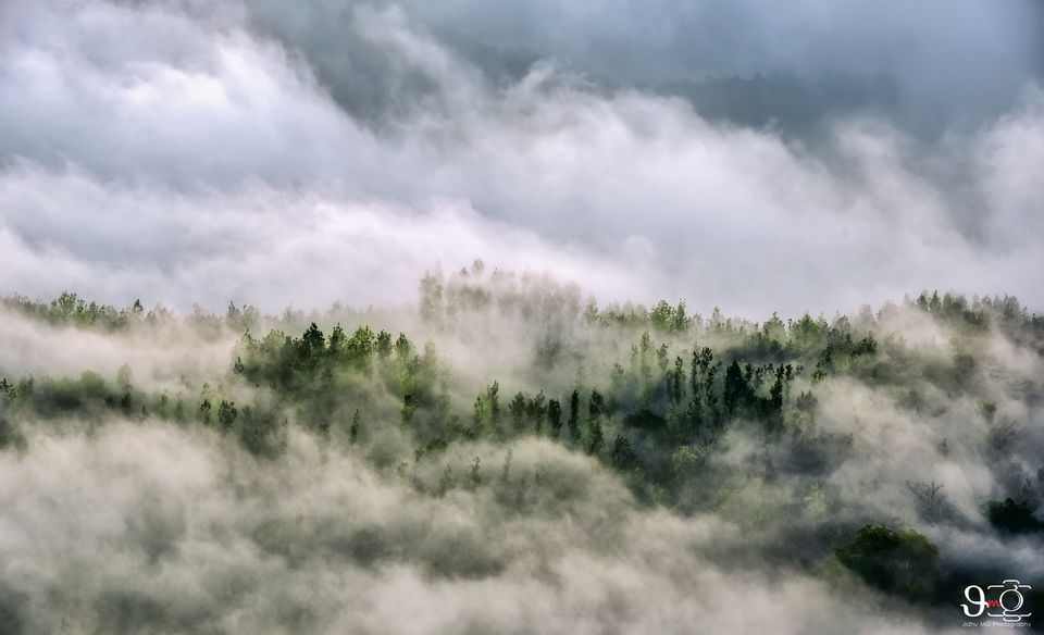 Photo of Yercaud, Tamil Nadu, India by Jidhu Mg
