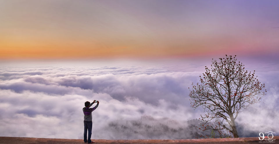 Photo of Yercaud, Tamil Nadu, India by Jidhu Mg
