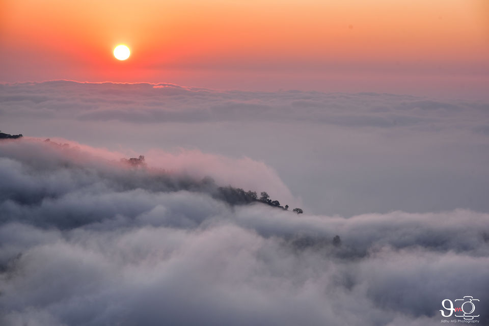 Photo of Yercaud, Tamil Nadu, India by Jidhu Mg