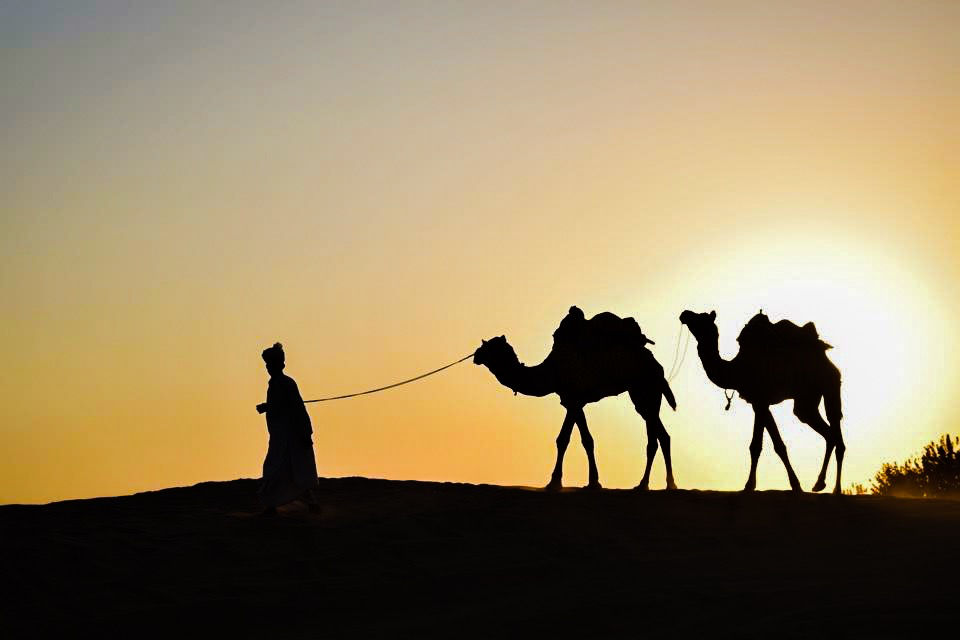 Photo of Thar To The Moon ! by Ranjini