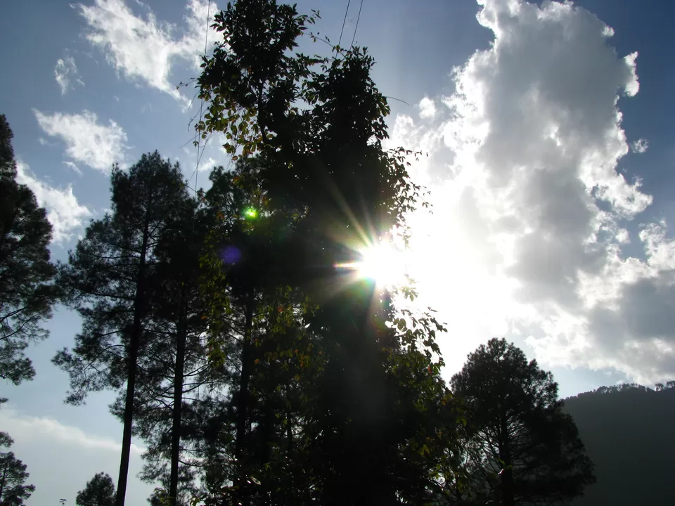 Photo of Sankri, Uttarakhand, India by Vaibhav Gupta