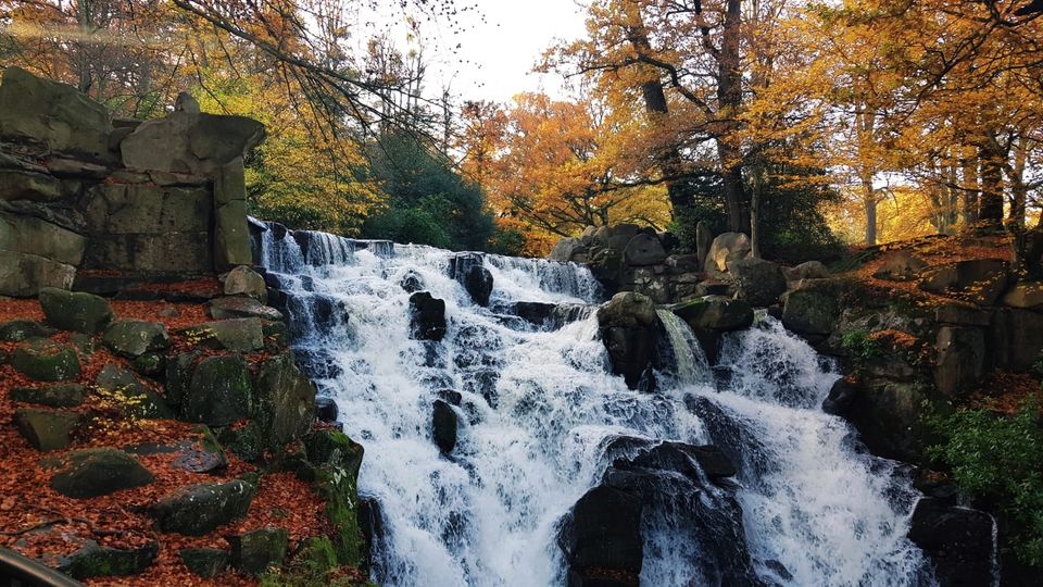 Photo of Virginia Water Park: A beautiful autumn walk… 4/6 by Anusha Jha