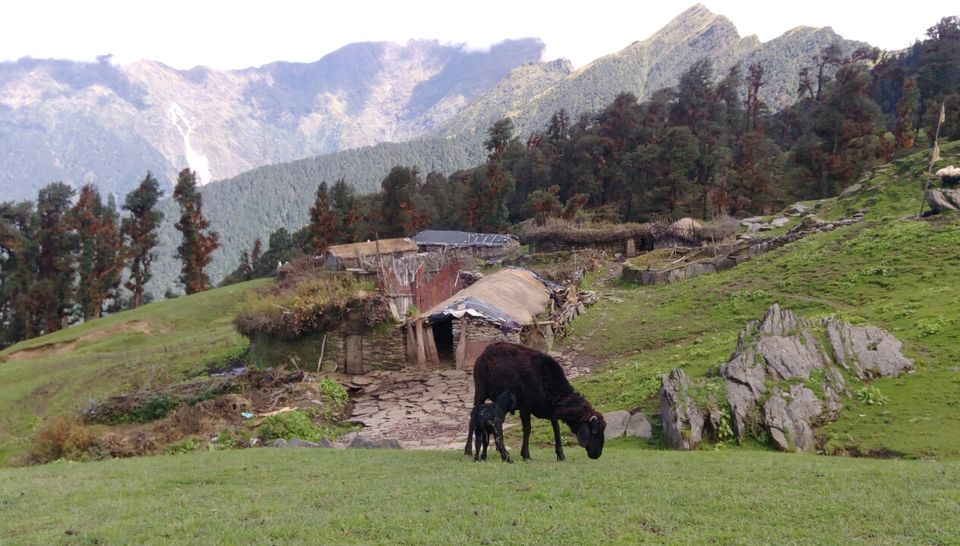 Photo of High peaks and divine temple-Tungnath. by Ghumakkad Bawra
