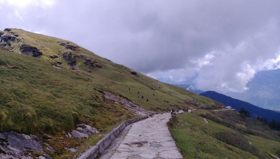Photo of High peaks and divine temple-Tungnath. by Ghumakkad Bawra