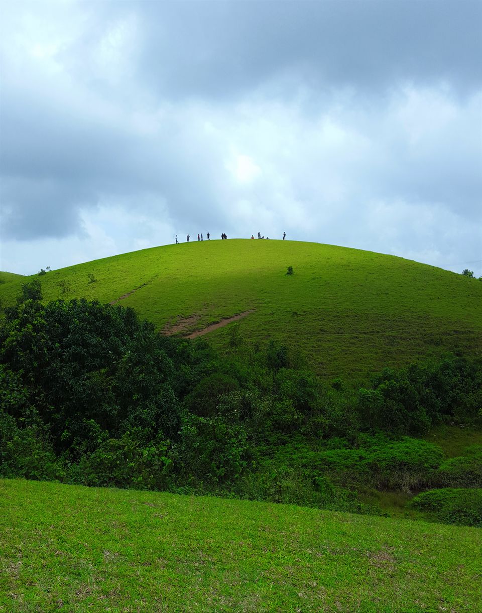 Photo of Green Meadows Vagamon, Vagamon, Kerala, India by Bharath Boopathy