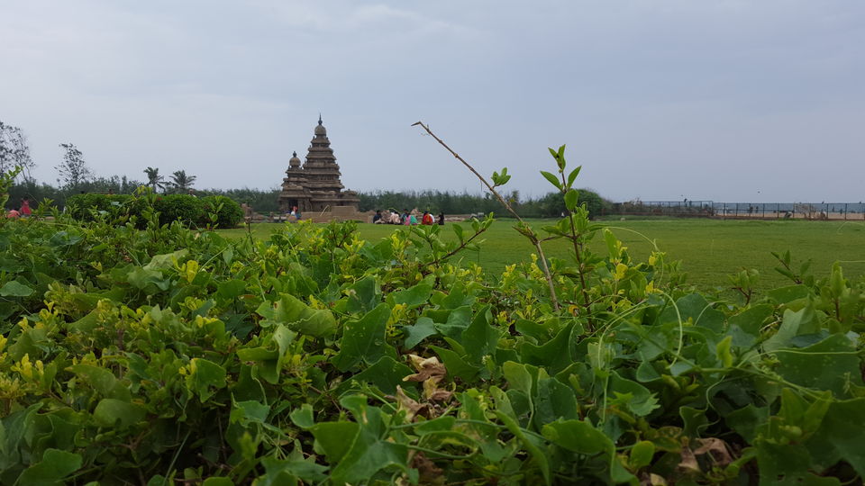 Photo of Mahabalipuram in a day - All you need to know by Bharath Boopathy