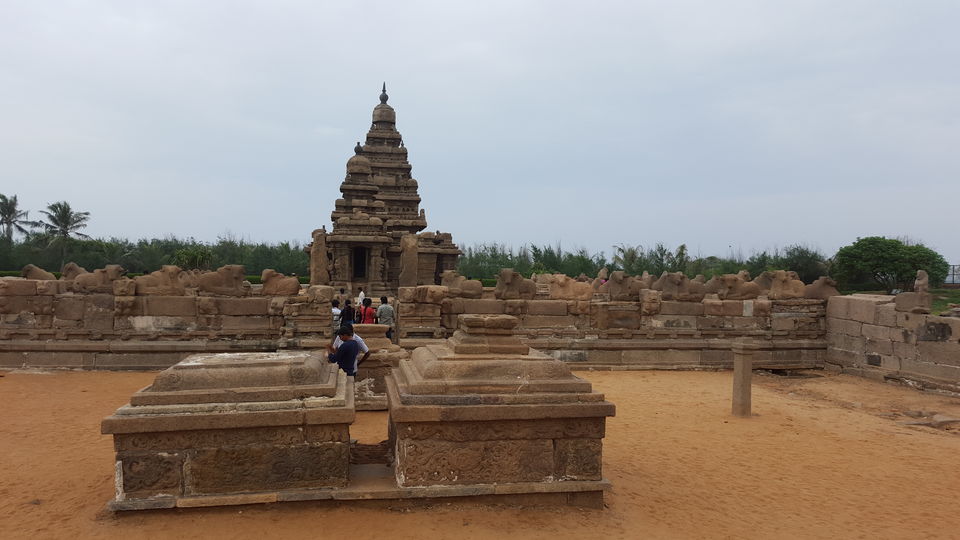 Photo of Mahabalipuram in a day - All you need to know by Bharath Boopathy