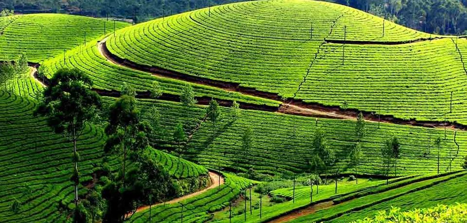 Photo of 13 weekends this Monsoon – South India getaways 6/6 by Bharath Boopathy