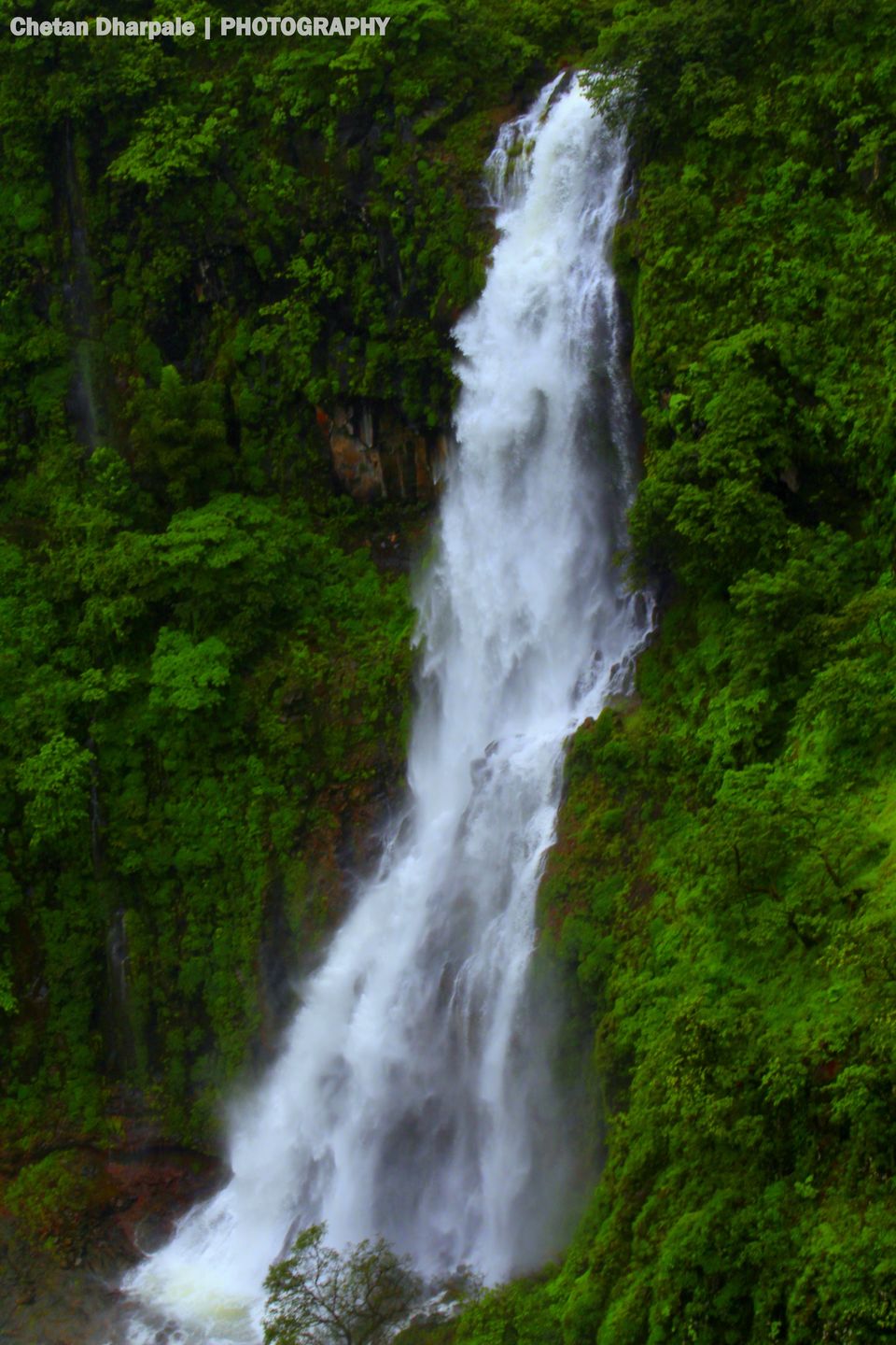 Photo of Experience the natural beauty of Satara district! #thoseghar waterfalls 3/3 by Chetan Dharpale