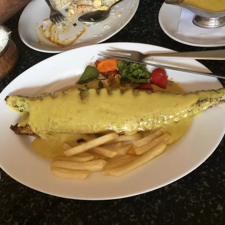 Photo of Candolim, Goa, India by Joy P Ghosh