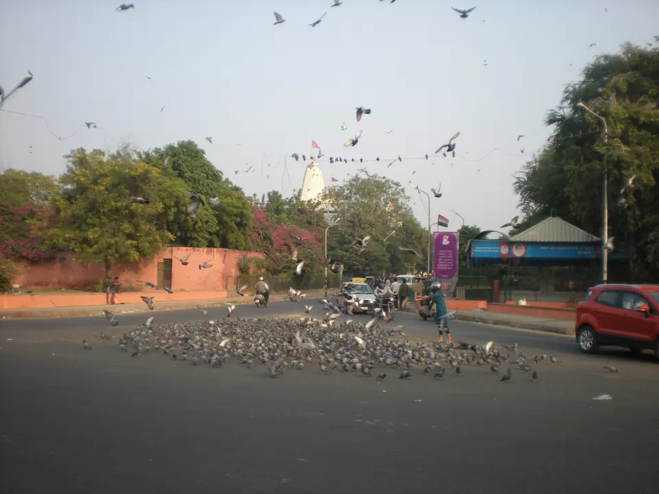 Photo of Jantar Mantar - Jaipur, Jaipur, Rajasthan, India by malayaja