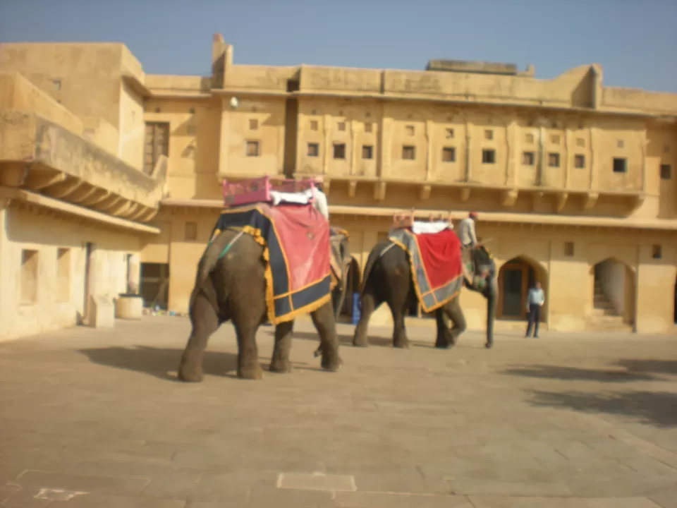 Photo of Amer Fort, Amer, Jaipur, Rajasthan, India by malayaja