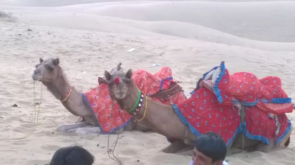 Photo of Sam Sand Dunes Desert Safari Jaisalmer, Kanoi, Rajasthan, India by malayaja