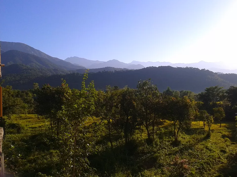 Photo of Palampur, Palampur, Himachal Pradesh, India by Megha Jamb