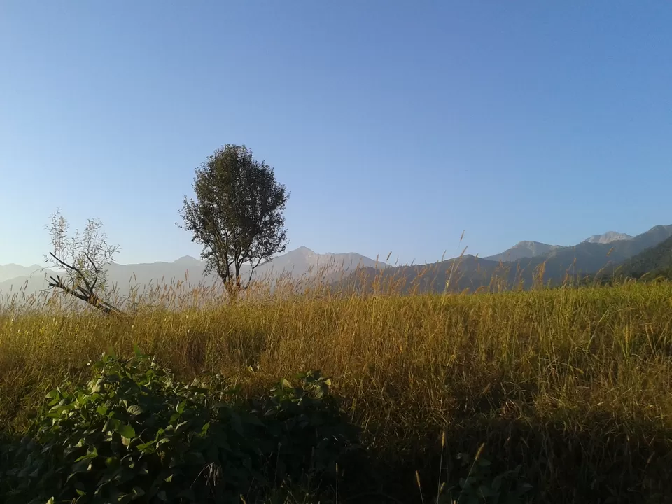 Photo of Himachal Pradesh, Himachal Pradesh, India by Megha Jamb