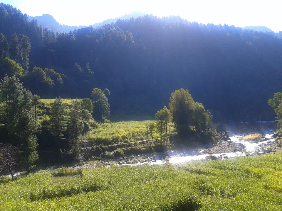 Photo of Barot, Barot, Himachal Pradesh 175013, India by Megha Jamb