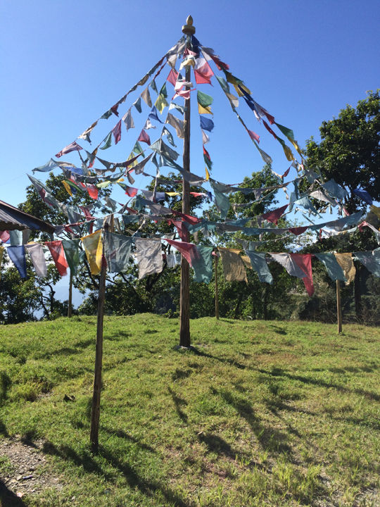 Photo of Royal Enfield Tour Of Bhutan : Day 2 & 3 by Vinayak Shanker Sharma