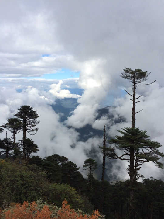 Photo of Royal Enfield Tour Of Bhutan : Day 6 & 7 by Vinayak Shanker Sharma
