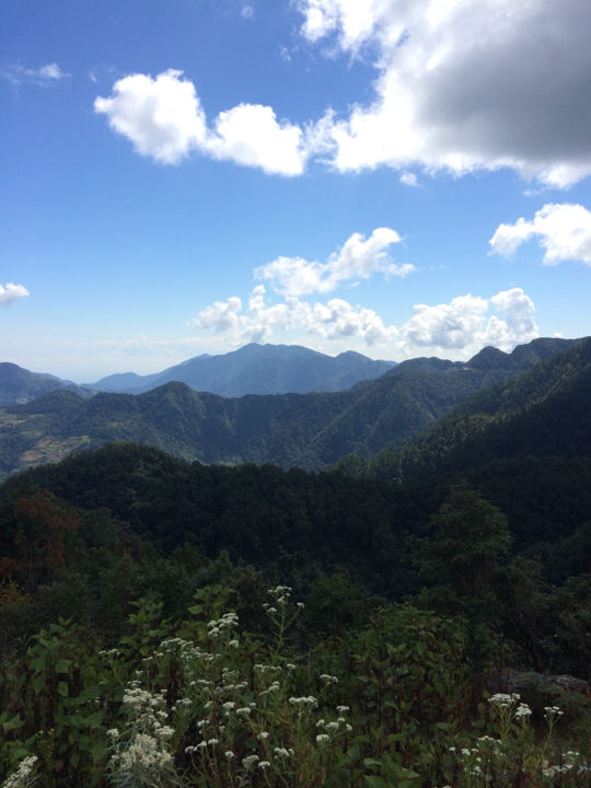 Photo of Royal Enfield Tour Of Bhutan : Day 8 & 9 by Vinayak Shanker Sharma