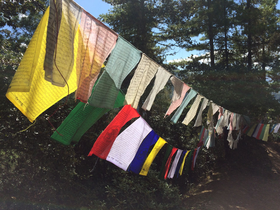 Photo of Royal Enfield Tour Of Bhutan : Day 2 & 3 by Vinayak Shanker Sharma