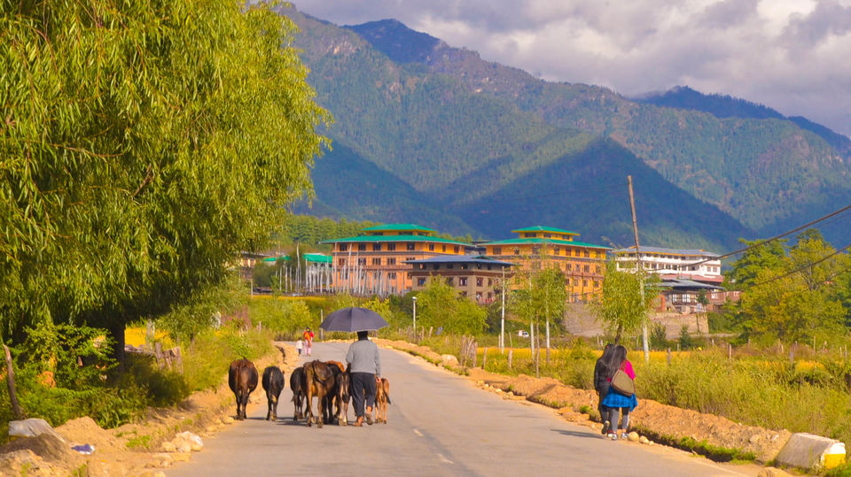 Photo of Phuentsholing, Chhukha, Bhutan by Vinayak Shanker Sharma
