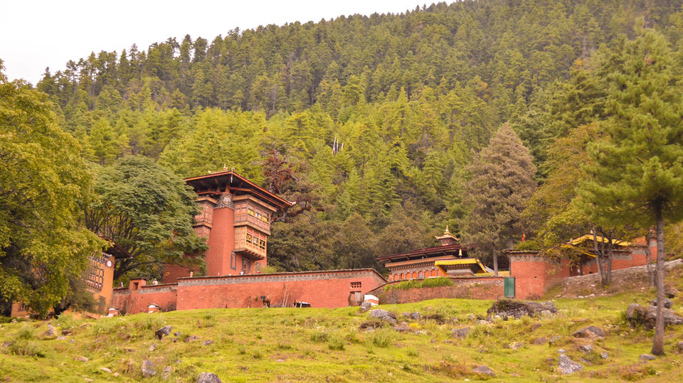 Photo of Thimphu, Bhutan by Vinayak Shanker Sharma