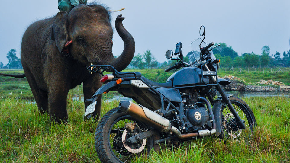 Photo of Chitwan, Central Development Region, Nepal by Vinayak Shanker Sharma