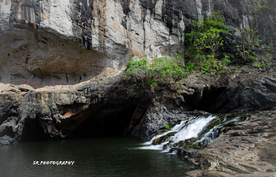 Photo of Dandeli - The Call of the Forest 3/17 by Sri Ram S