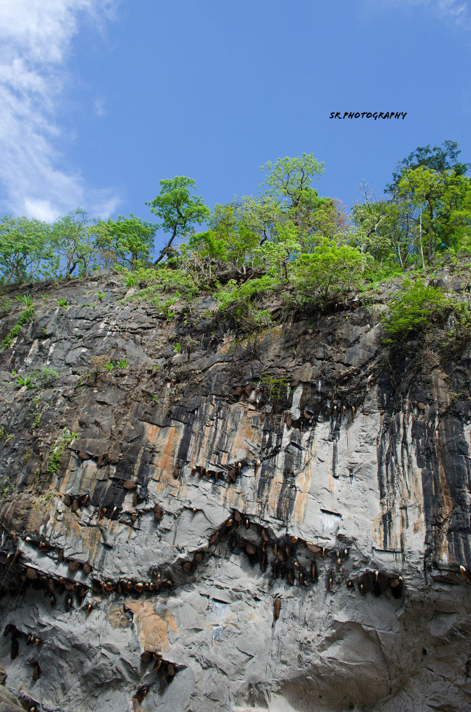 Photo of Dandeli - The Call of the Forest 4/17 by Sri Ram S