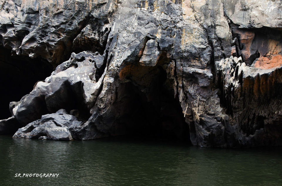 Photo of Dandeli - The Call of the Forest 5/17 by Sri Ram S