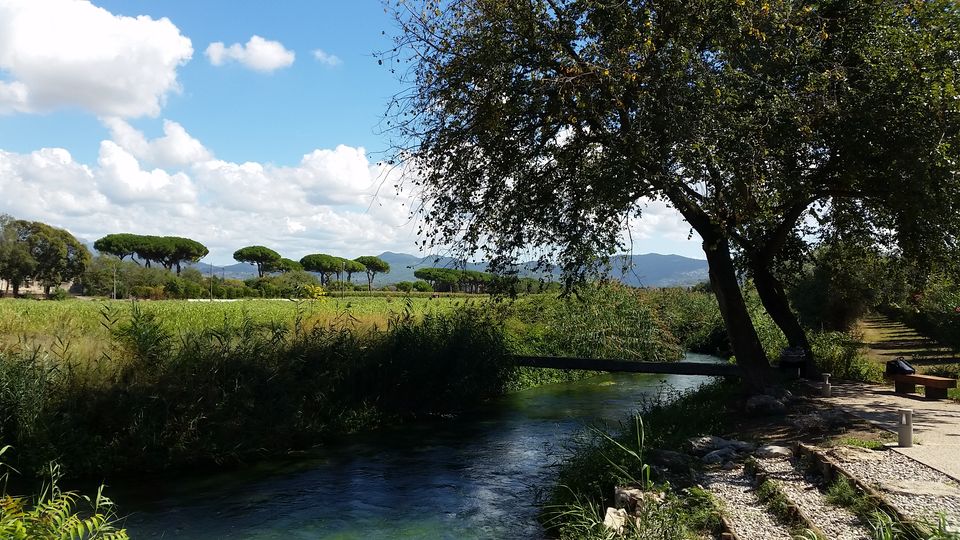 Photo of Weekend in the Italian Countryside 2/4 by Mary Hitselberger