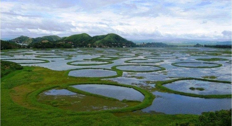 Photo of A Travel Guide To Keibul Lamjao National Park by Sandy N Vyjay